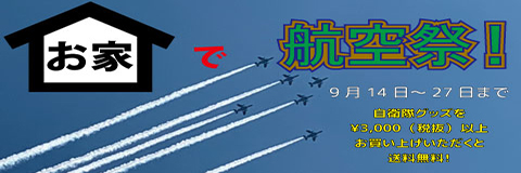 お家で航空祭カテゴリ用
